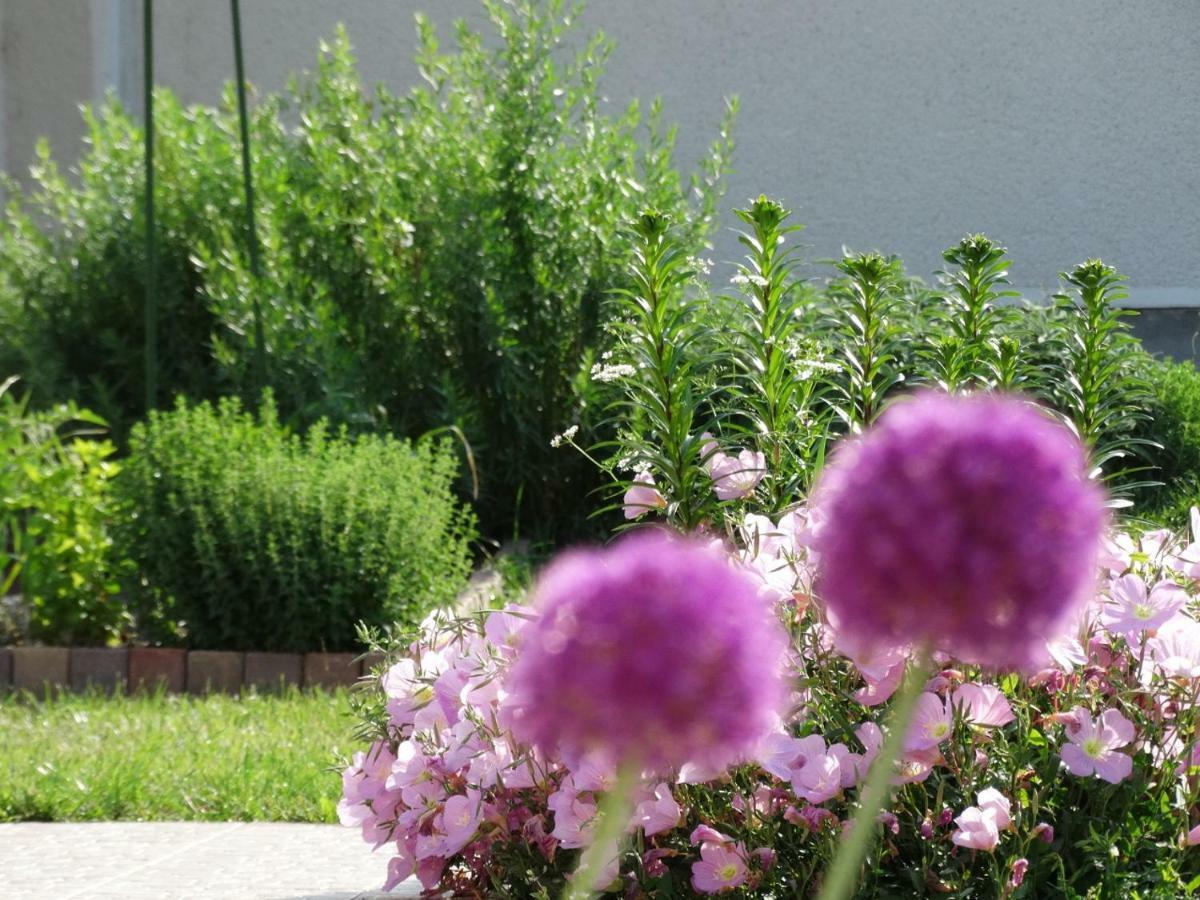 Apartamento House Magnolia Velence Exterior foto